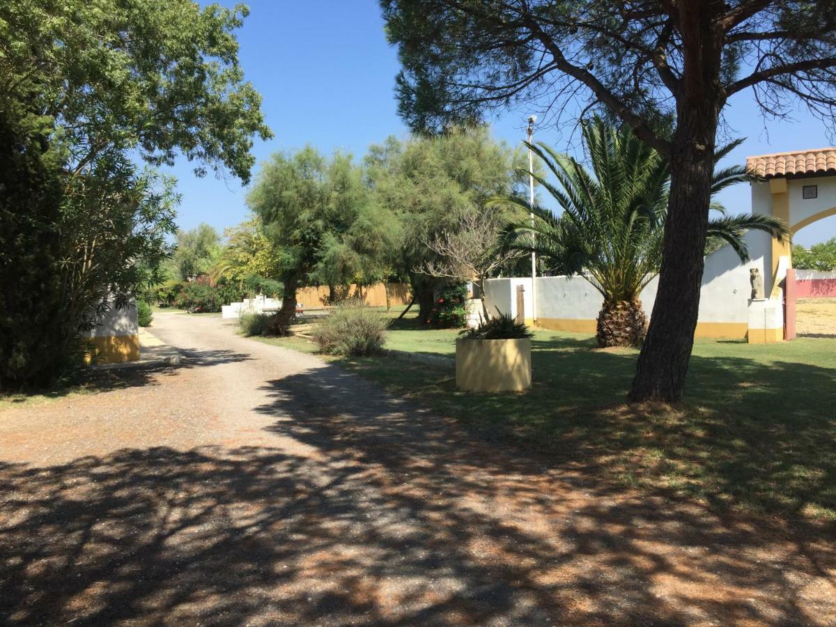 El Rocio 1 Gites Equestre Saintes-Maries-de-La-Mer Exterior foto